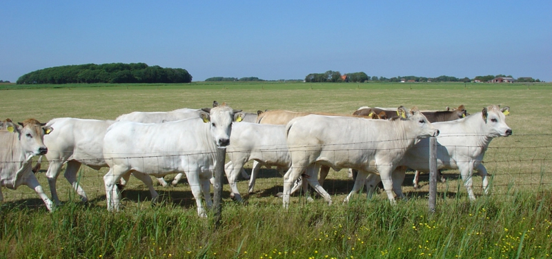rund 12